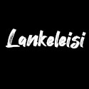 Plaquettes de frein Lankeleisi